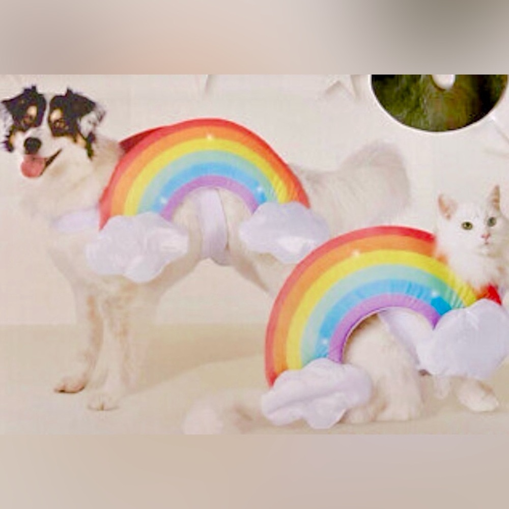 COPY - Light Up Rainbow with Clouds Pet Costume